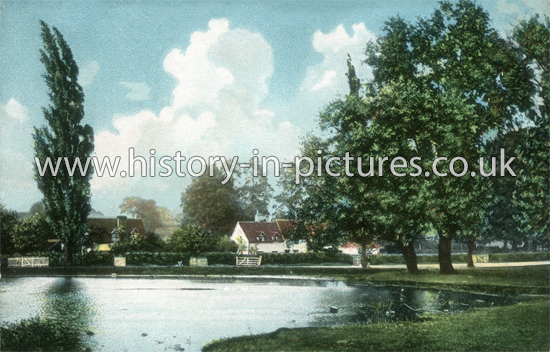 The Pond and Green, Theydon Bois, Essex. c.1907